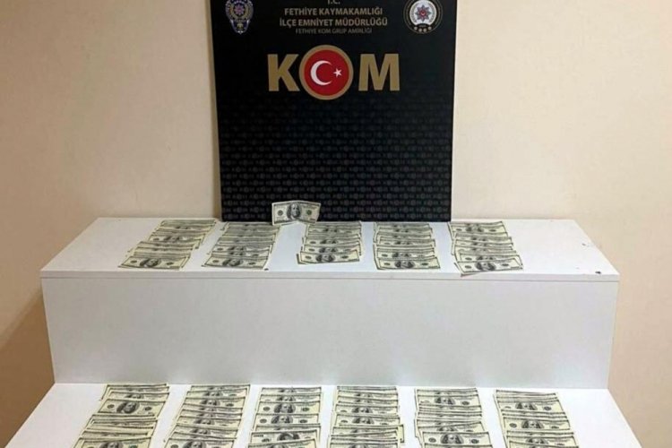 Sahte dolar operasyonunda 6 kişiye g&ouml;zaltı