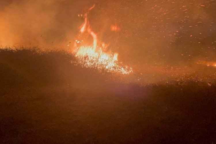 Bursa'da sazlık alanda yangın! Saatler sonra s&ouml;nd&uuml;r&uuml;ld&uuml;!