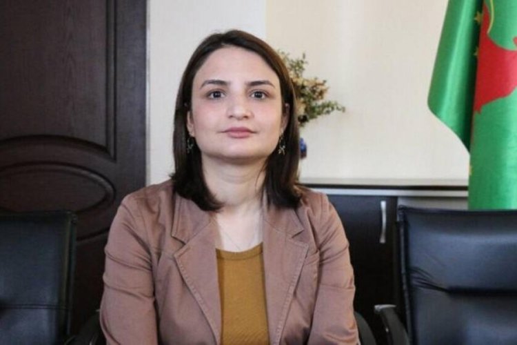 DBP İl Başkanı G&uuml;lmez cezaevine g&ouml;nderildi
