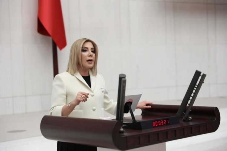 AK Partili G&ouml;kcan, &ccedil;imento fabrikasına ruhsat verilmesini eleştirdi