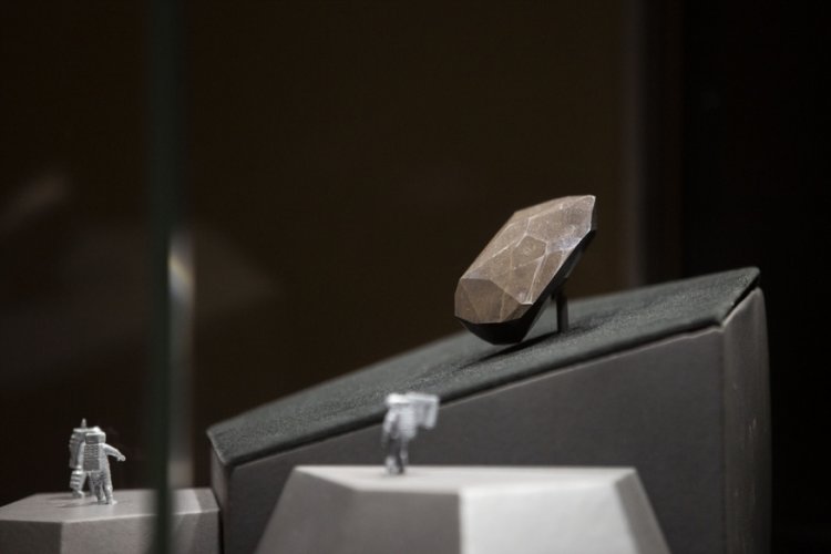 D&uuml;nyanın en b&uuml;y&uuml;k siyah elması a&ccedil;ık arttırmaya &ccedil;ıkarıldı