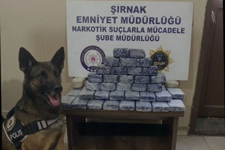 Şırnak'ta 31 kilo eroine g&ouml;zaltı