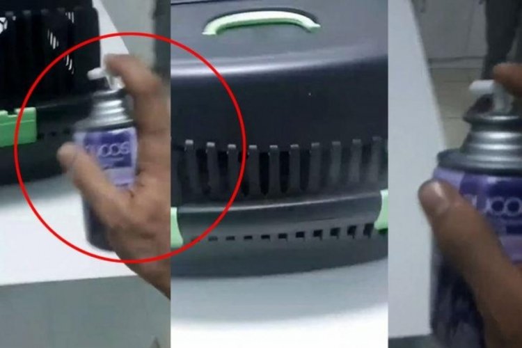 Ankara'da kedilere oda spreyi sıktı! Tepki yağdı