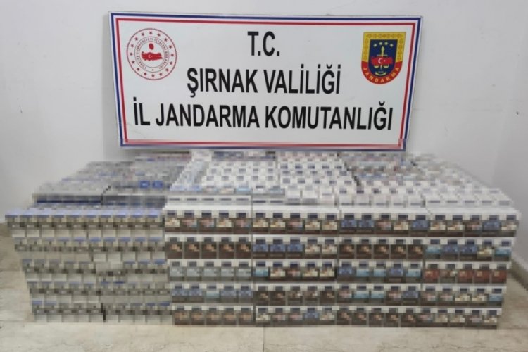 Şırnak'ta son bir haftada ka&ccedil;ak&ccedil;ılık ve asayiş su&ccedil;undan 62 g&ouml;zaltı