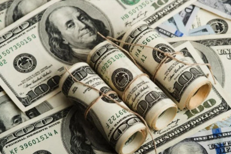 Ocak ayının kazandıranı dolar oldu