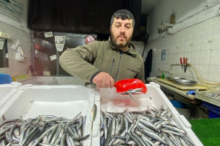 Balık&ccedil;ıları y&uuml;z&uuml; hamsiden yana g&uuml;ld&uuml;