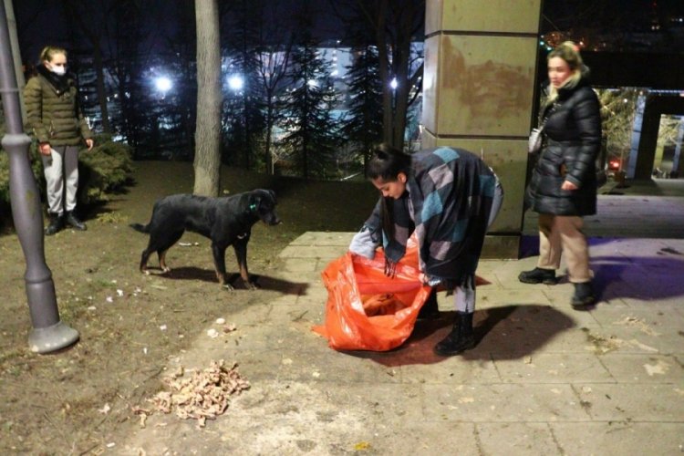 Zehirlendiği iddia edilen 10 yavru k&ouml;pekten 8'i telef oldu