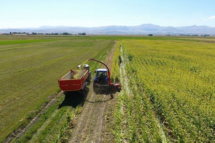G&uuml;bre fiyatlarında y&uuml;zde 30'a varan indirim yapıldı!