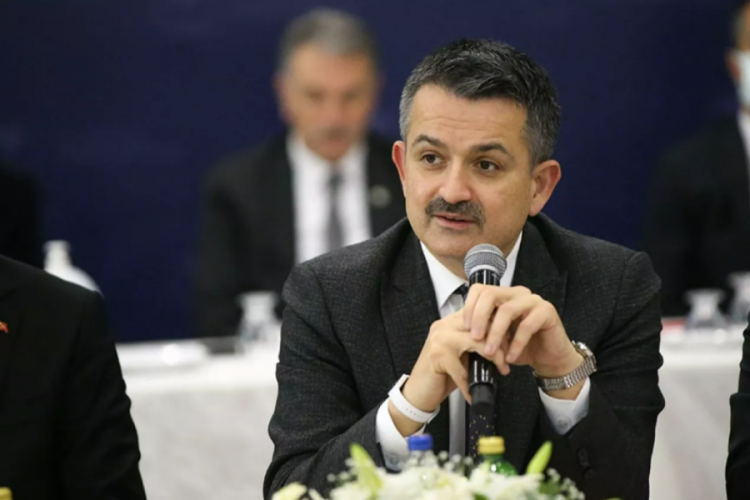 Bakan Pakdemirli duyurdu! &Ouml;demeler hesaplara yatırılıyor