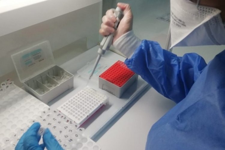 DS&Ouml;, Covid-19 tedavisi i&ccedil;in bir eklem iltihabı ilacını daha &ouml;n yeterlilikten ge&ccedil;irdi