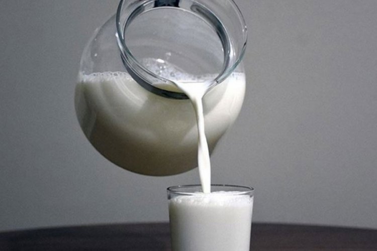 Toplanan inek s&uuml;t&uuml; miktarı 10 milyon tonu aştı