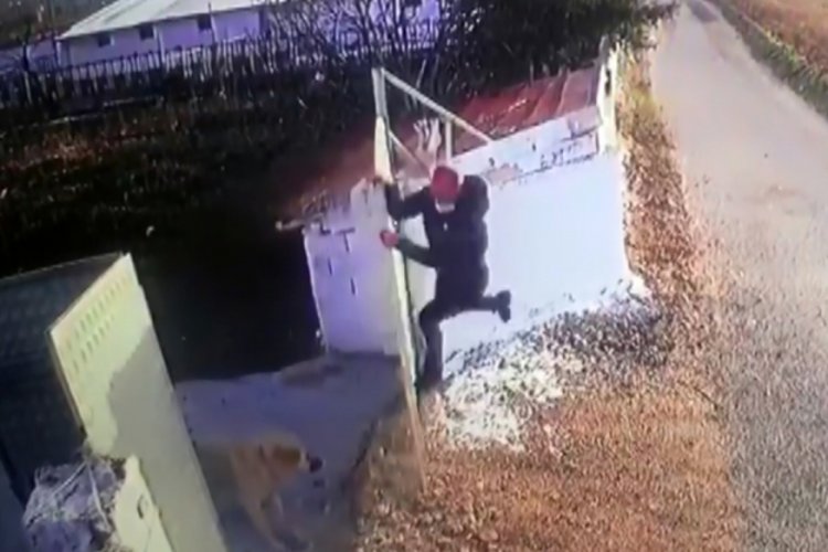 Afyonkarahisar'da &ouml;ğretmene k&ouml;pek saldırısı