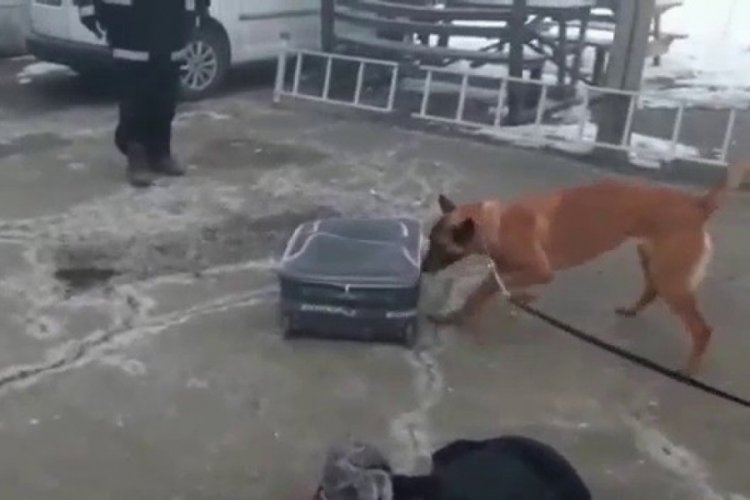 İzne &ccedil;ıkan uzman &ccedil;avuş uyuşturucuyla yakalandı!