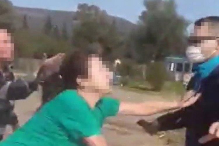 K&ouml;pek tartışması şiddete d&ouml;n&uuml;şt&uuml;