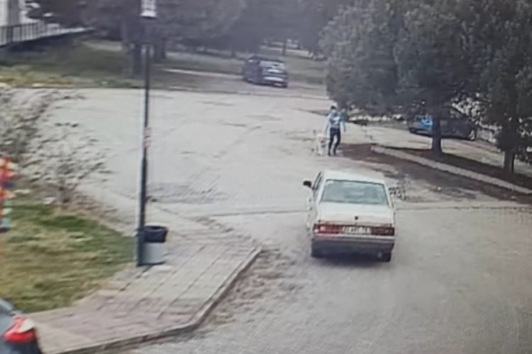Ordu'da otomobili antren&ouml;r&uuml;n &uuml;zerine s&uuml;rd&uuml;, k&ouml;peği yaraladı