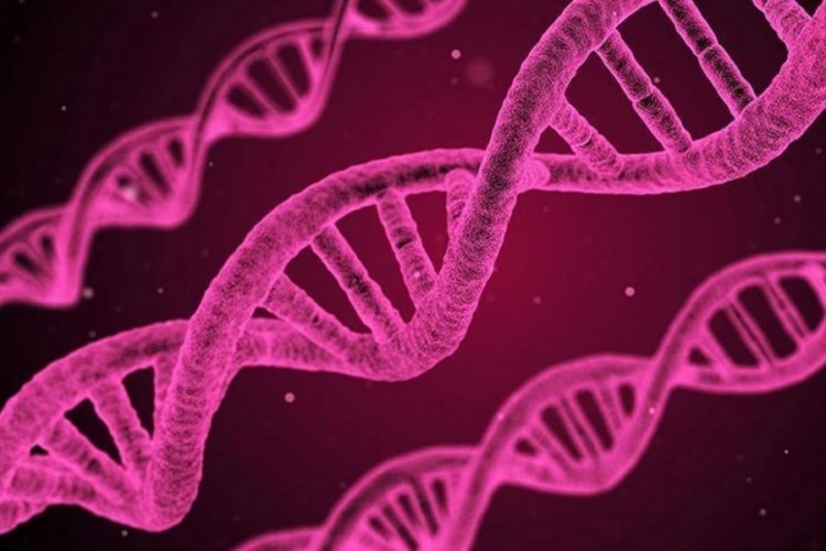 Tecav&uuml;z mağdurlarıyla ilgili ortaya &ccedil;ıkan ger&ccedil;ek, tartışmaya sebep oldu