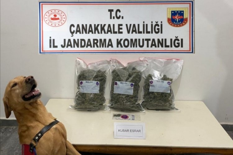&Ccedil;anakkale'de 'Tatbik' ara&ccedil;taki 2,5 kilo esrarı buldu