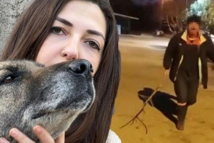 Hem komşusuna hem de k&ouml;peğe saldırdı