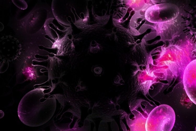 D&uuml;nya'da bir kişi daha HIV vir&uuml;s&uuml;n&uuml; yendi