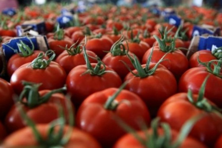 Domateste hedef 1 milyar dolarlık ihracat