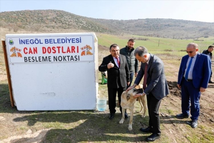 Bursa'da can dostlara beslenme alanları oluşturuluyor