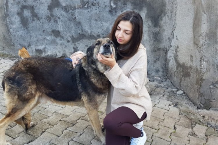 Hatay'da darp iddiasıyla şikayet&ccedil;i olduğu komşusu g&ouml;zaltında