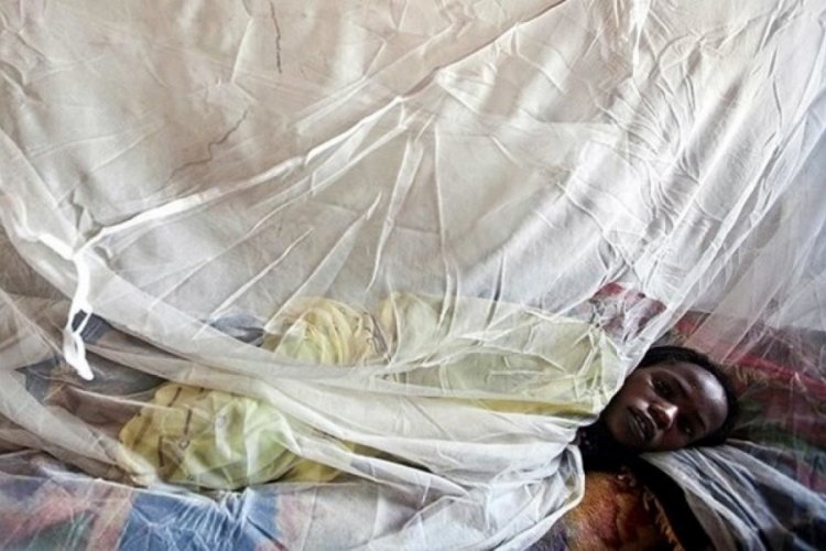 Lassa ateşinden can kaybı 59'a &ccedil;ıktı