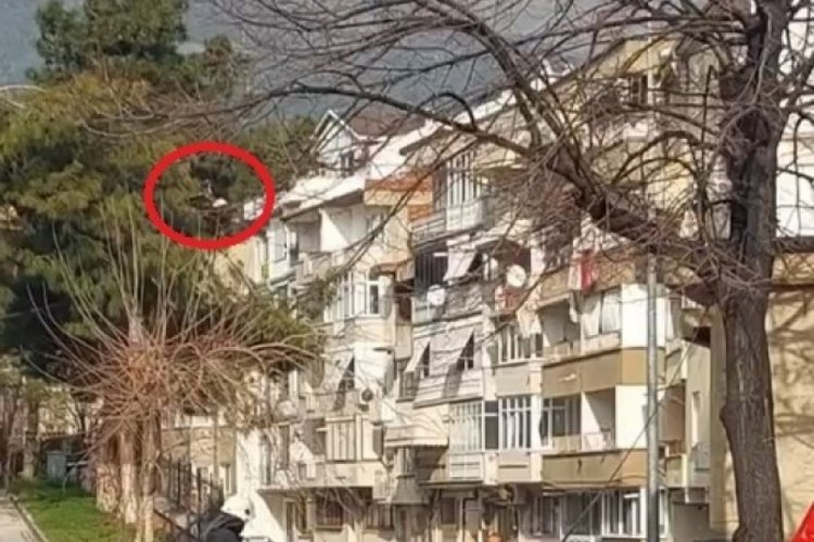 Bursa'da ağa&ccedil;ta asılı kalan kuşun imdadına itfaiye koştu
