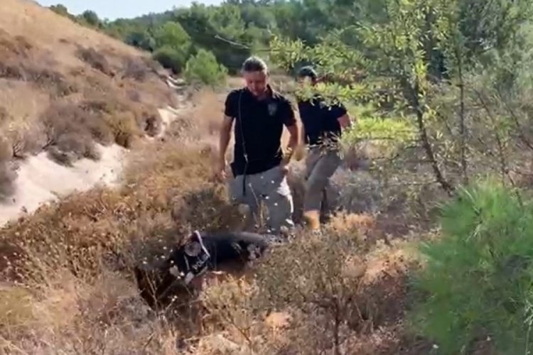 Sigara izmariti 15 yıllık cinayeti &ccedil;&ouml;zd&uuml;