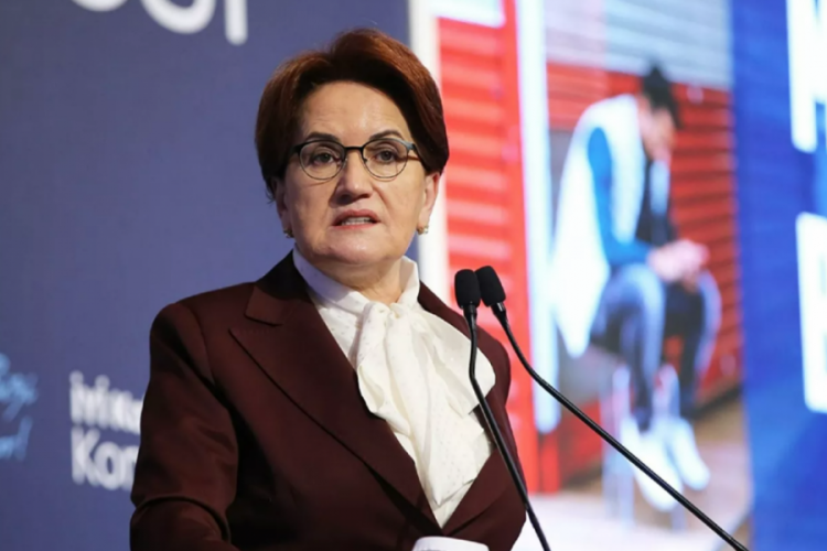 İYİ Parti lideri Akşener, Tarkan'ın 'Ge&ccedil;&ccedil;ek' şarkısını paylaştı: &Ccedil;oğu gitti, az Kaldı