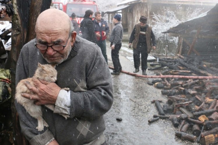 Hafızalara kazınan fotoğraftaki 'Ali Dede'den haber var