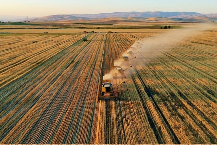 Tarımsal girdi fiyat endeksi yıllık bazda y&uuml;zde 45,61 arttı