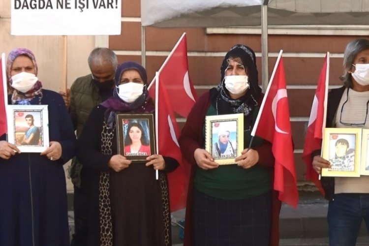 Ağabey kardeşini HDP'den istedi!