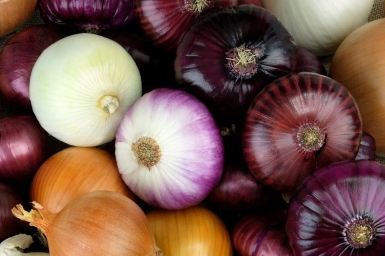 C vitamini deposu: Soğan, sarımsak