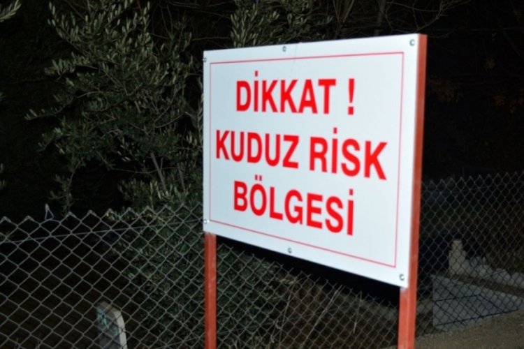 'Kuduz' karantinası: B&ouml;lgede tedbirler artırıldı