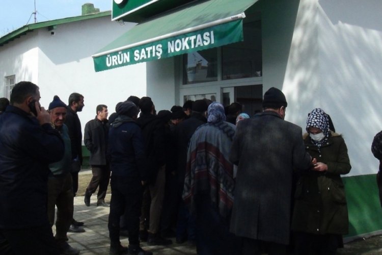 İndirimi duyan vatandaş akın etti! 5 litrelik yağ...