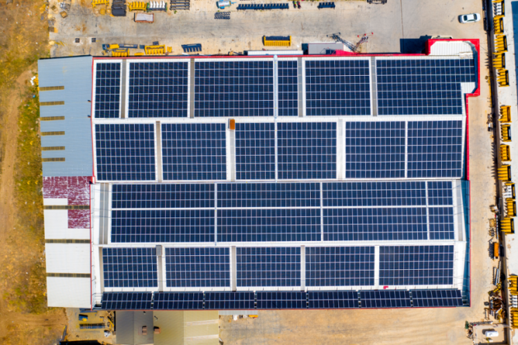 CW Enerji, yaşanılabilir &ccedil;evre i&ccedil;in projelerine devam ediyor