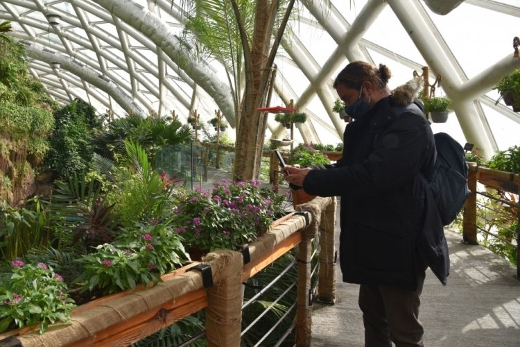 Konya'da 'Tropikal Kelebek Bahçesi' ziyaretçilerle buluşuyor