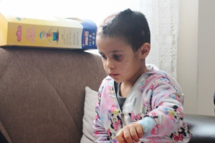 Asiye'ye pitbull saldırısında tahliye edilen 4 sanık tekrardan tutuklandı