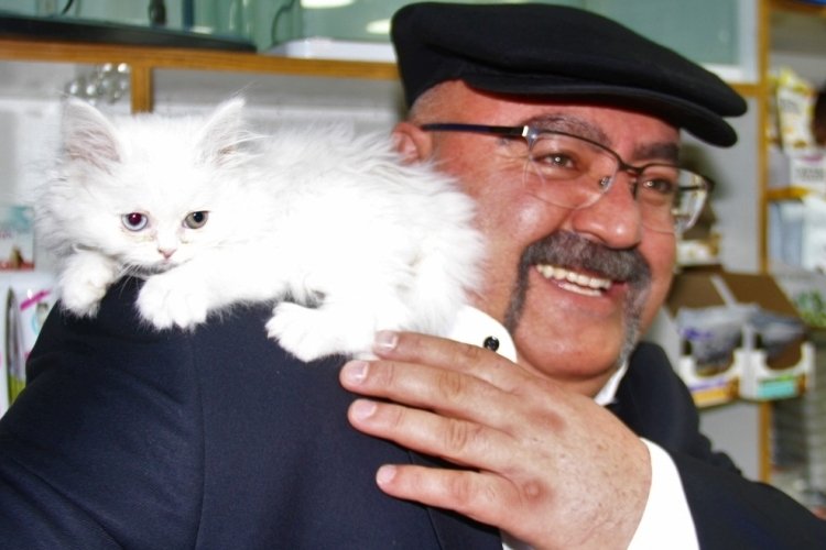 Yavru kediyle her g&uuml;n gidip vakit ge&ccedil;iriyor