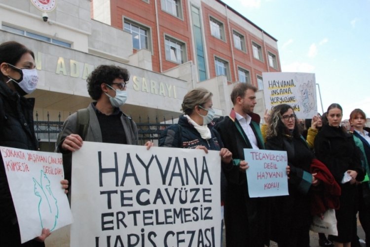 K&ouml;peğe cinsel saldırı sanığına iktidarsızlık tespiti
