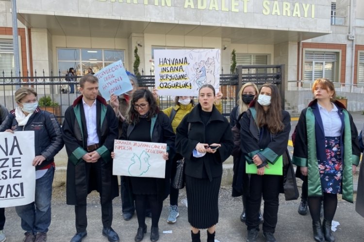 K&ouml;peğe cinsel taciz davasında kan donduran ifadeler