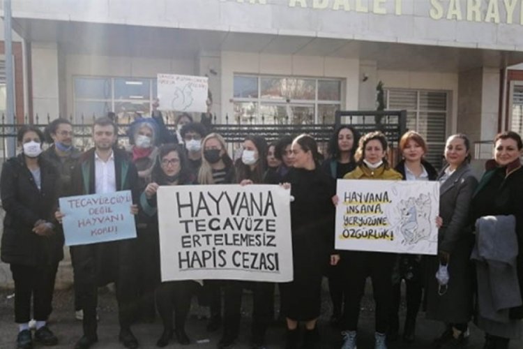 Cinsel istismar su&ccedil;lamasıyla yargılanan şahsın adli kontrol şartı kaldırıldı