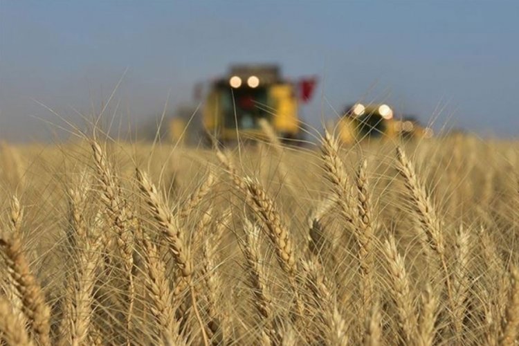 Rusya-Ukrayna savaşı buğdayı da vurdu! 13 yılın zirvesinde