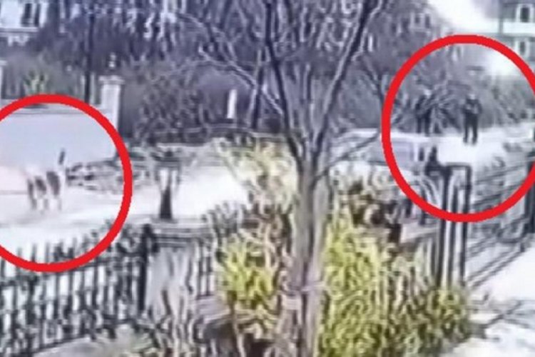 Ordu'da k&ouml;peği &ouml;ld&uuml;ren polise soruşturma a&ccedil;ıldı