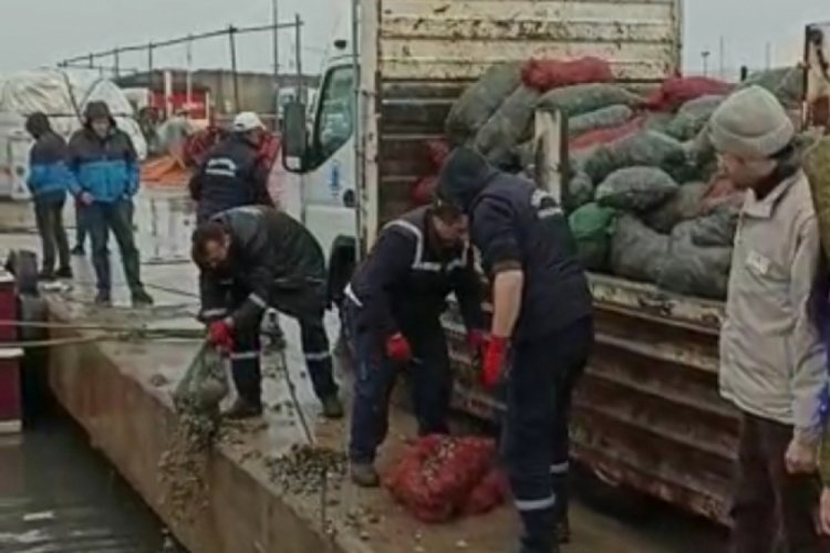 İstanbul'da ka&ccedil;ak avlanan midyeye el konuldu