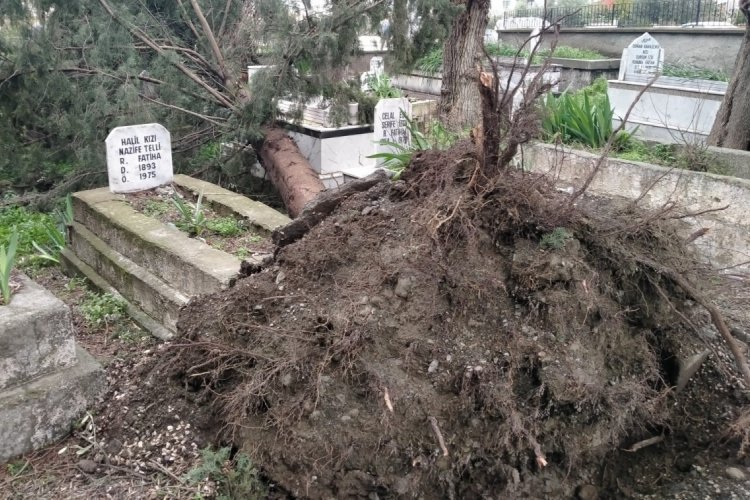 Hatay'da fırtına mezarlara zarar verdi