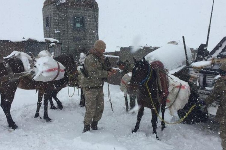 Van'da atların sırtındaki &ccedil;uvallardan 215 av t&uuml;feği &ccedil;ıktı