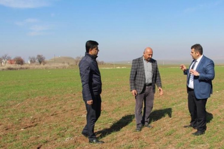 Yağışlar ile hububat fiyatlarında d&uuml;ş&uuml;ş bekleniyor