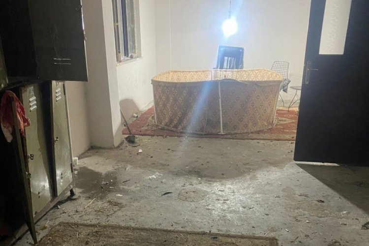 Horoz d&ouml;v&uuml;şt&uuml;renlere para cezası!